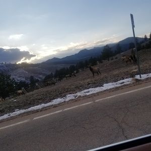 Meet your Posher, Karina